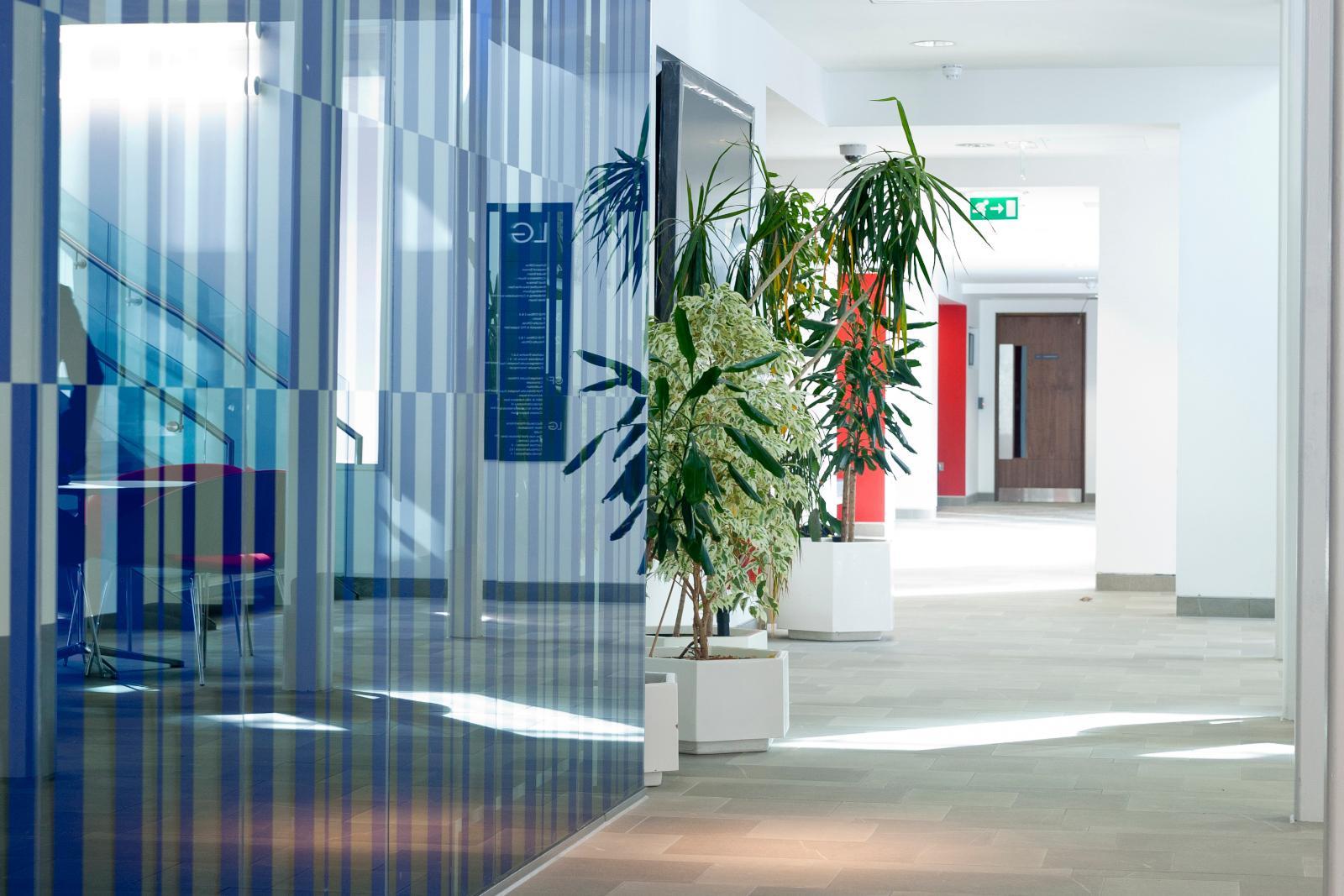 Inside Robert Brady Business School